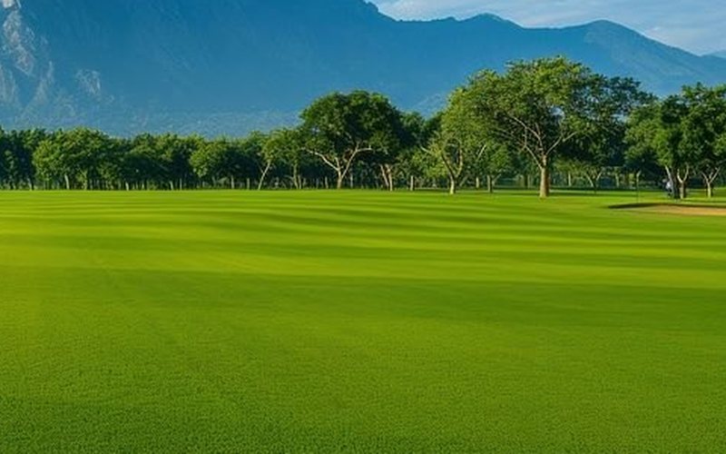 A mown fairway lined with trees, where marshals keep play moving